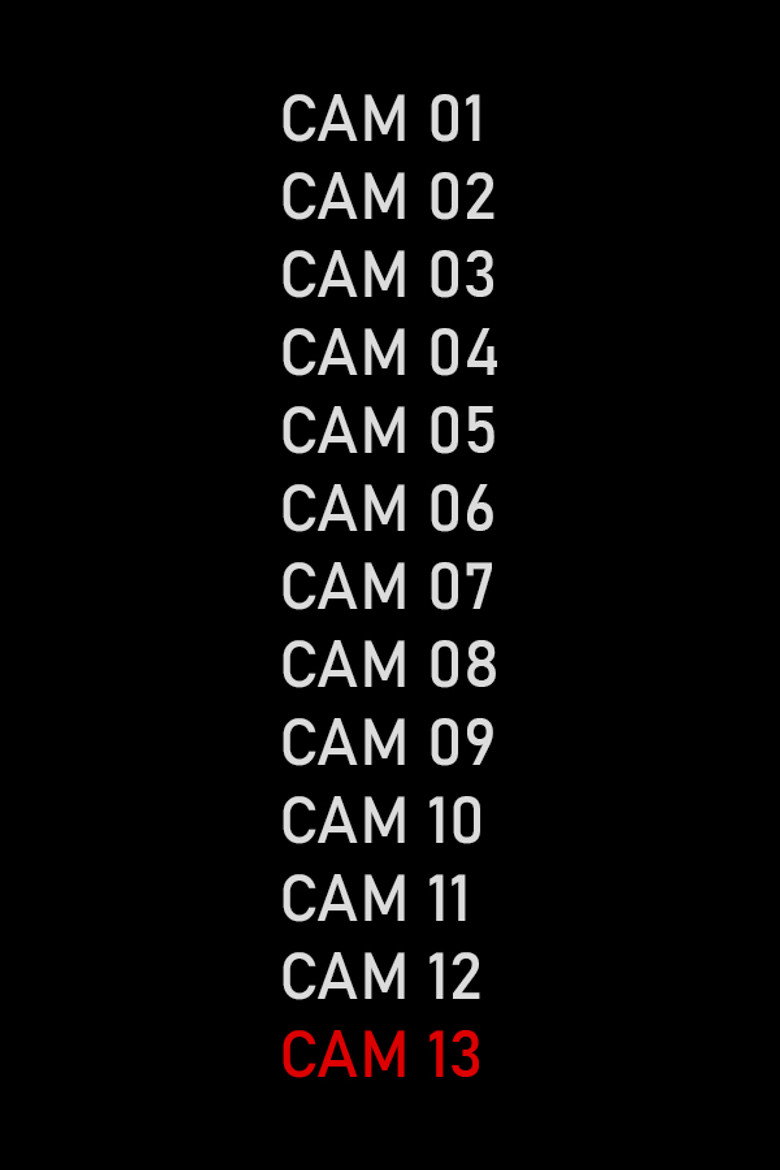 CAM 13 background