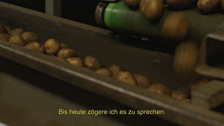 Gallery image from g5ZNK11JDTw4yPhNzk8TUWOwVzo.jpg