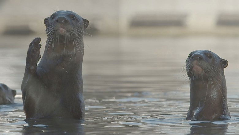 Still image for Wild City season 1 episode 1: Urban Wild Still image for Wild City season 1 episode 1: Urban Wild