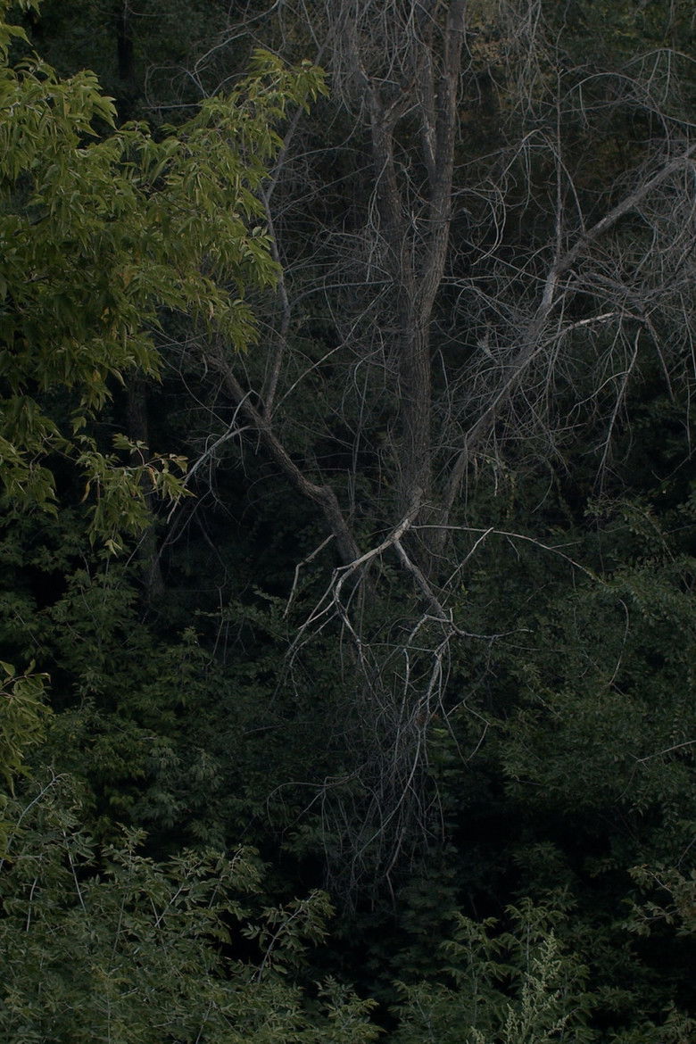 Imatge de Запах Бузку