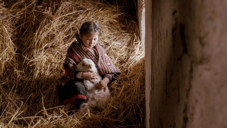 Mama Irene, Healer of the Andes main backdrop