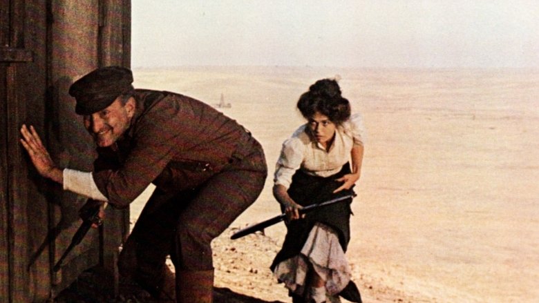 Oklahoma Crude (1973)