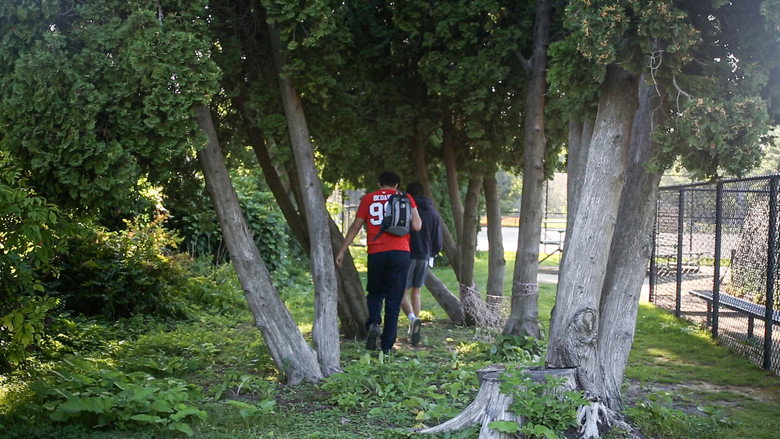 A Long Walk Home