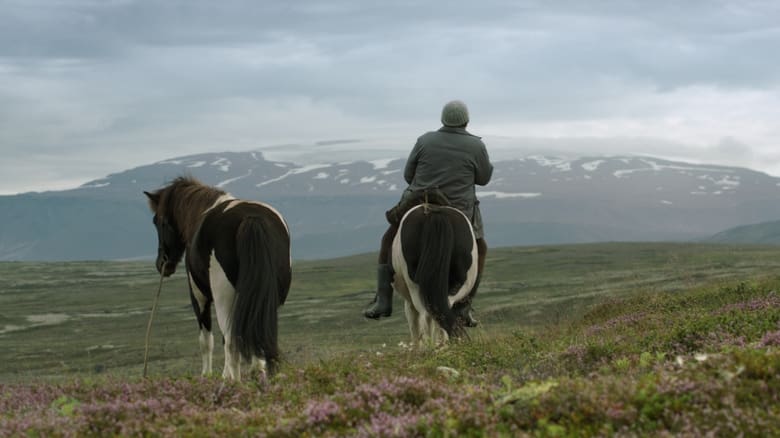 Of Horses and Men (2013)