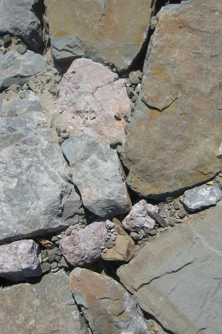 Imatge de Speechless