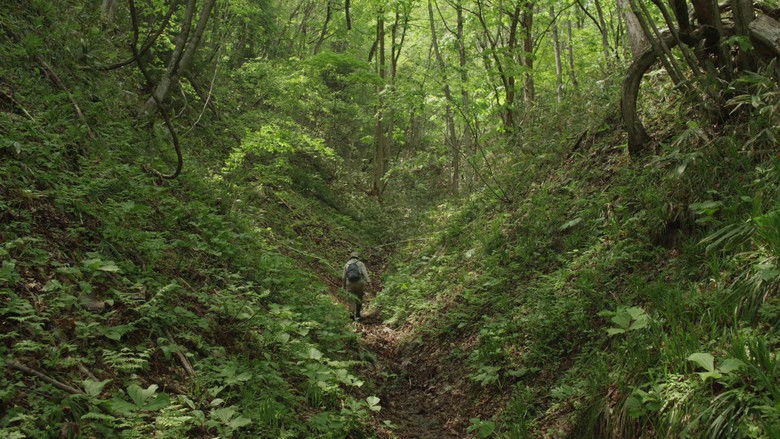 Gallery image from g7y38lfhF8Vhgvutxtj6z1LRRxC.jpg