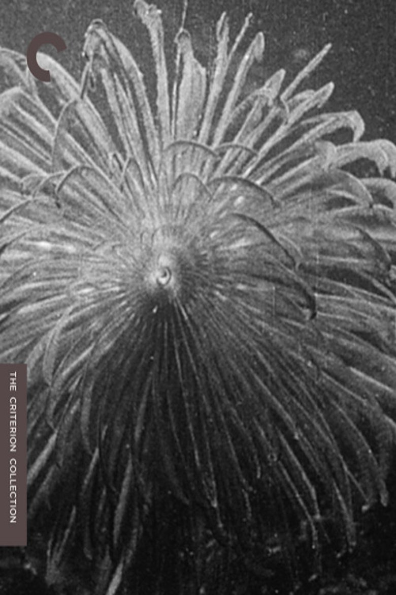 Hyas et stenorinques (1929)