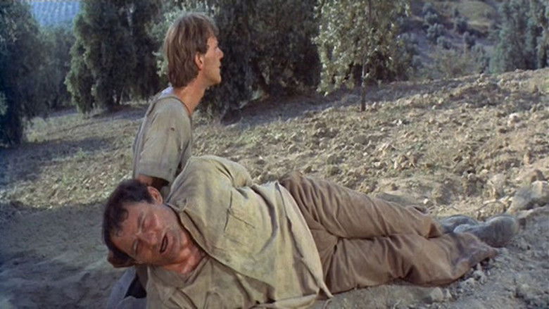 G84jyznqfc2apghixcund45w6c6