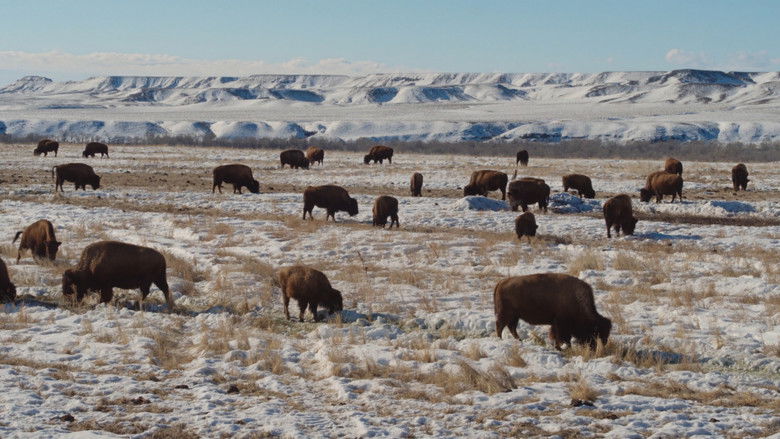 Gallery image from g8HAYkoQdLp2g2GRmDPqth27FOh.jpg