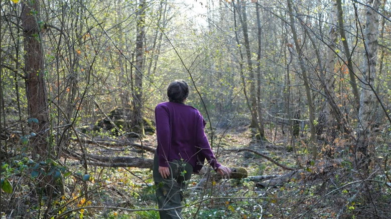 Imatge de A la poursuite d'un regard