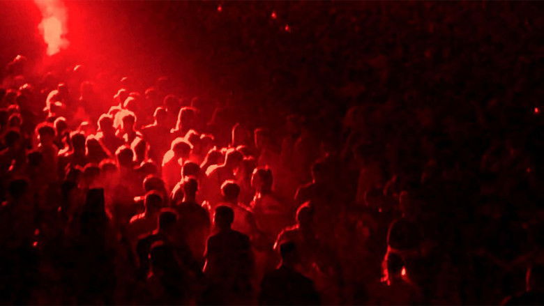 Gallery image from g9URLwRSDfkUI6FycdDzcXA8vx6.jpg