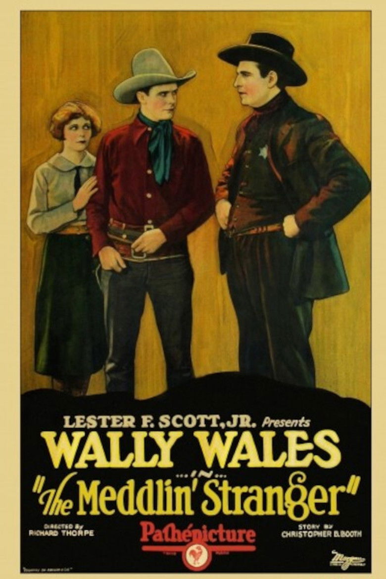 The Meddlin' Stranger