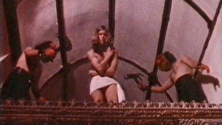 The Experiencer (1977)
