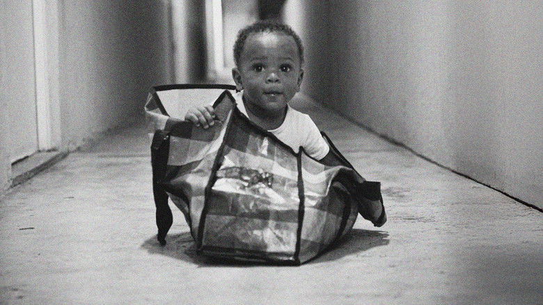 Backdrop for Zion, l'aventure du film