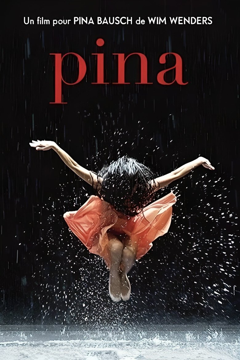 Poster du film Pina