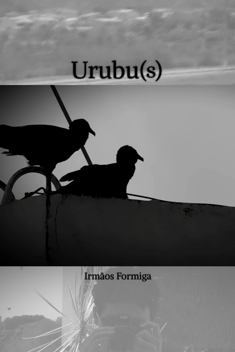 Imatge de Urubu(s)