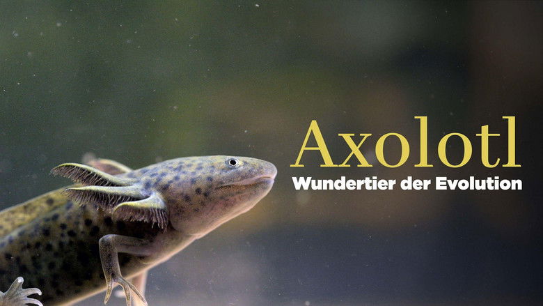 Axolotl, la salamandre miraculeuse (2024)