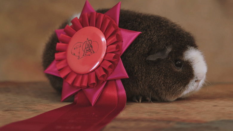 Still image for Going Fur Gold season 1 episode 4: Alpaca Pride