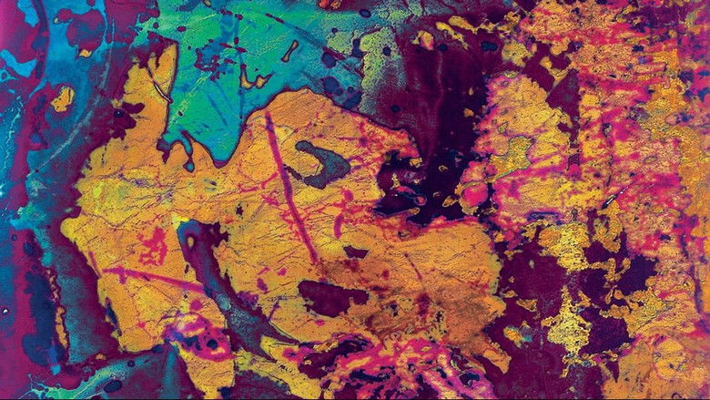 Gallery image from gBjrNSJqjhoVT7Zjy1k1whlWnhp.jpg