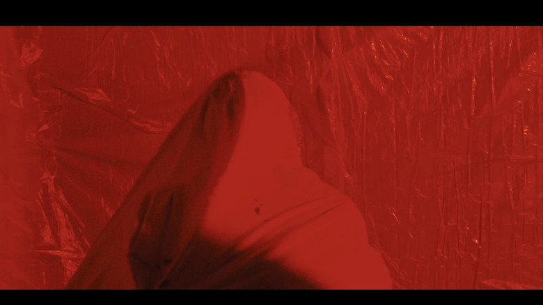 Backdrop 1