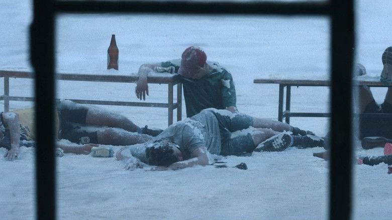 Gc9bvpstzr71ozzqwd564enlnwd