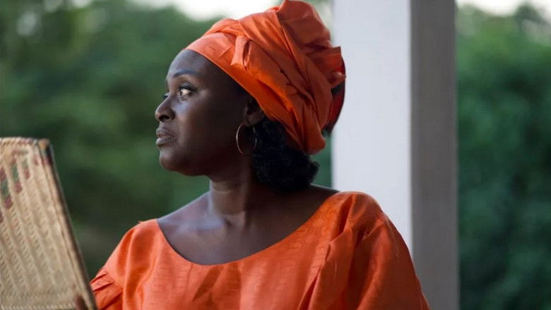 Image d'arrière-plan 2 du film Une si longue lettre