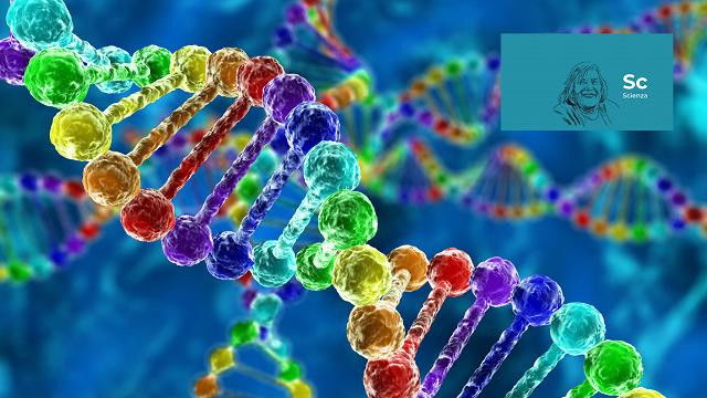 Still image for Le serie di RaiCultura.it season 6 episode 3: Episode 3