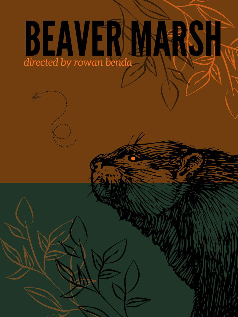 Imatge de Beaver Marsh