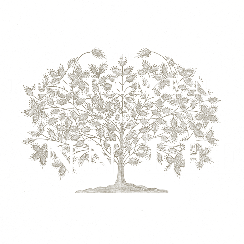 Imagen de El testimonio de Anne Lee