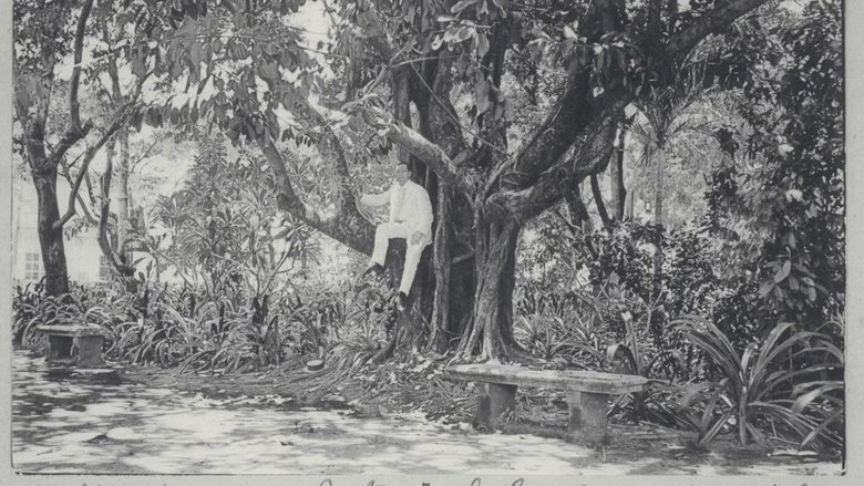 Gallery image from gEdF6FKjbX7zfLW4AKWoejyONpp.jpg