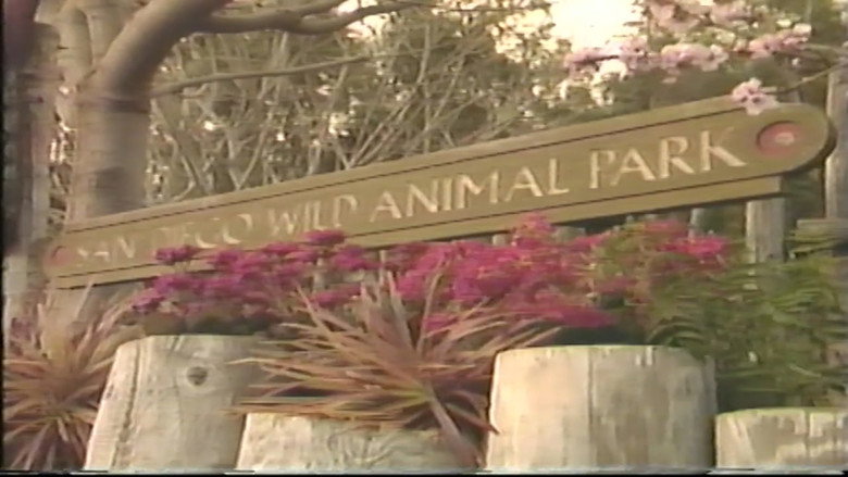 Imatge de VideoTours: San Diego Wild Animal Park