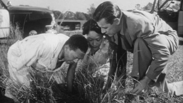 The Well (1951)