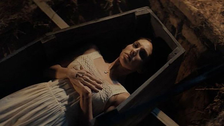 Ggb4atbelx0hdupz2tru1cefjbz