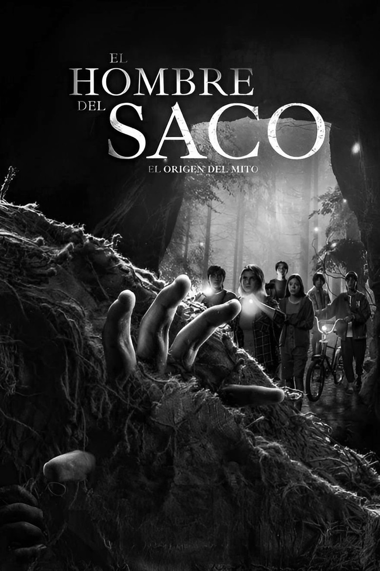 Póster la Película