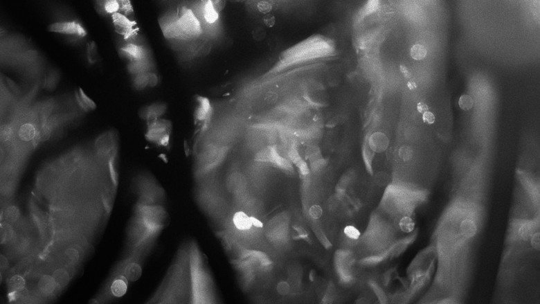 Imatge de Terms & Conditions.