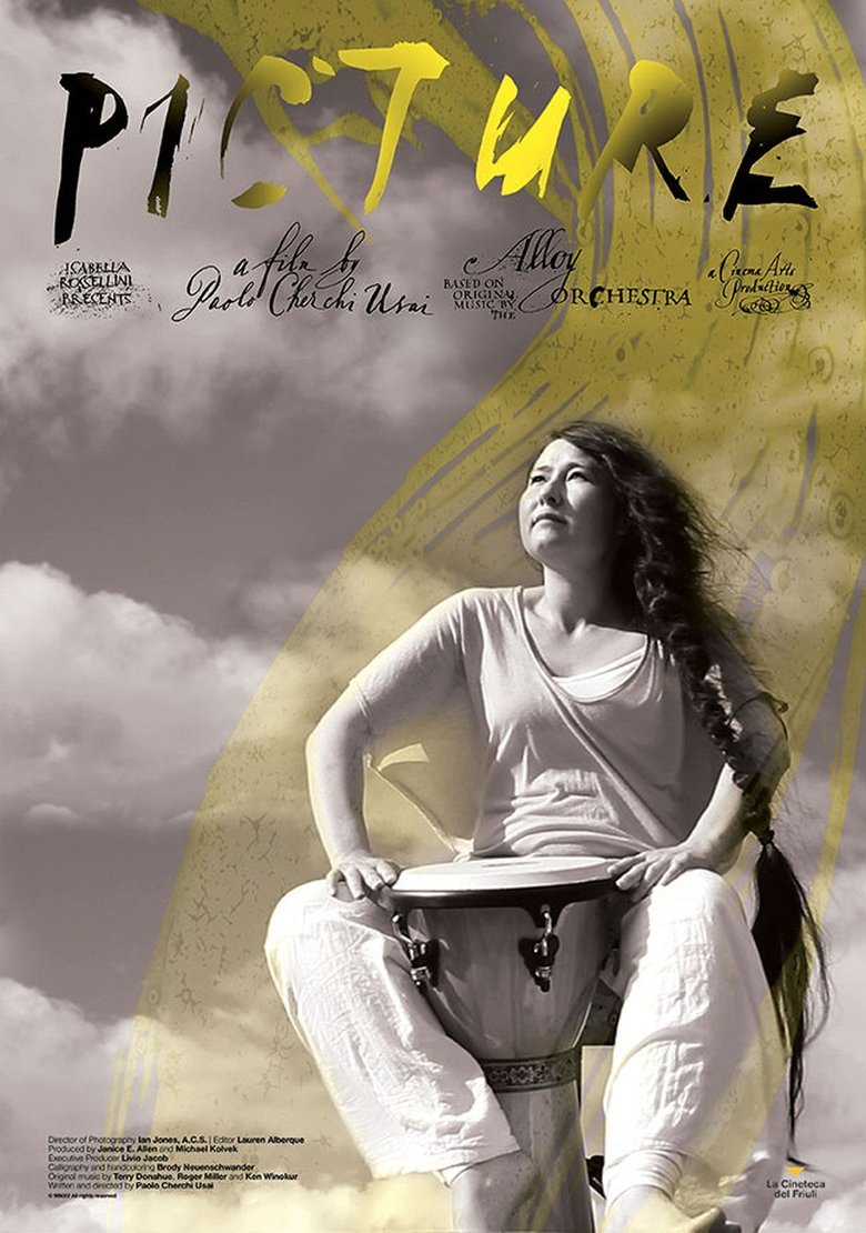 Picture main poster