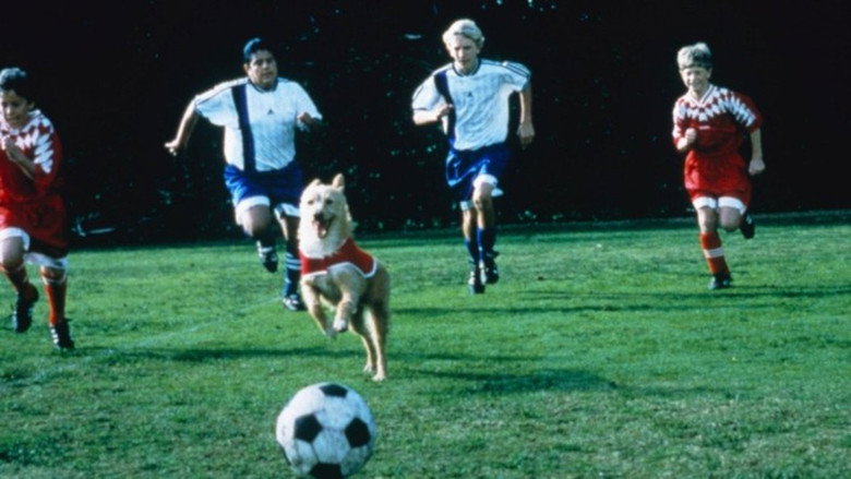 Soccer Dog : The Movie 1