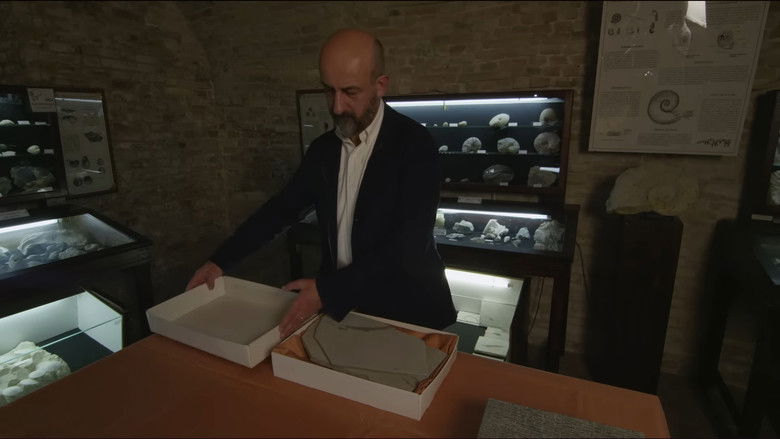 Gallery image from gGrOqaTi2lKCyjzFgtADz4miiWz.jpg