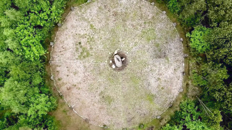 Gallery image from gHIbY5gJdry3rtES4dIi6sTXzjl.jpg