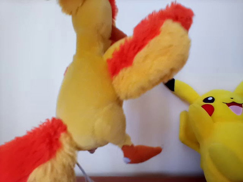 Moltres Attacks 6