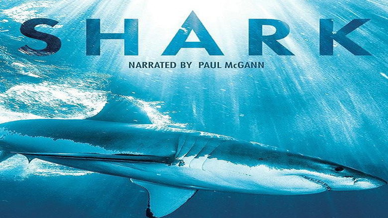 Shark