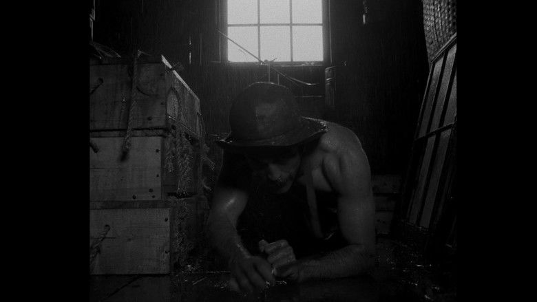 Gjkc4gjnc67dvehd1dmhvex8peu