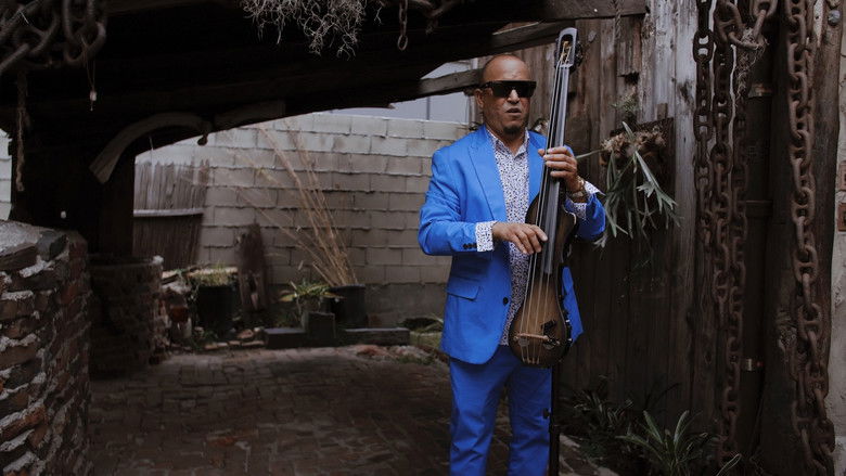 Imatge de Son Habana