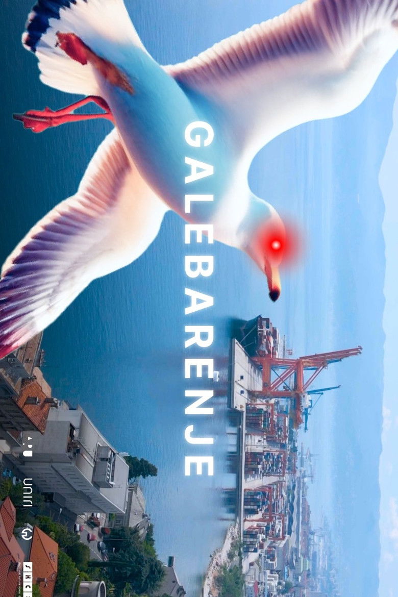 Imatge de Galebarenje