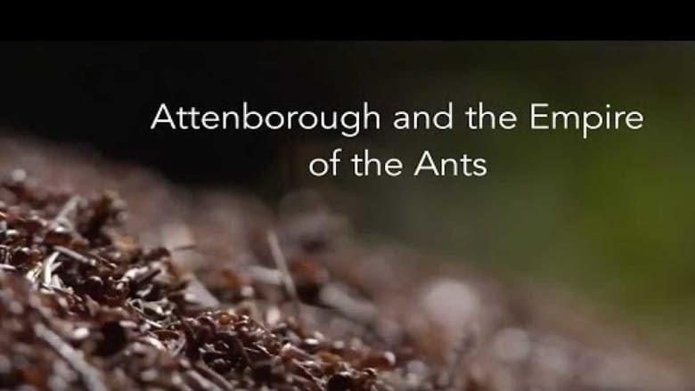 Attenborough and the Empire of the Ants movie poster