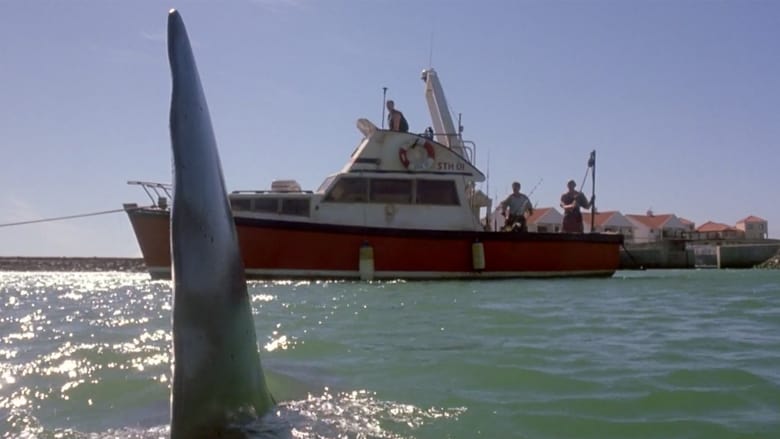 Shark Attack – The Killer Is Back (2001)