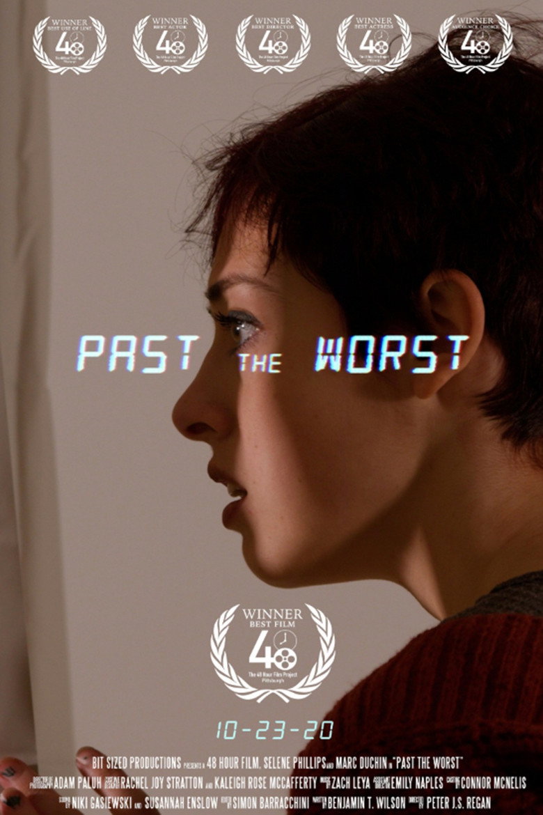 Imatge de Past The Worst