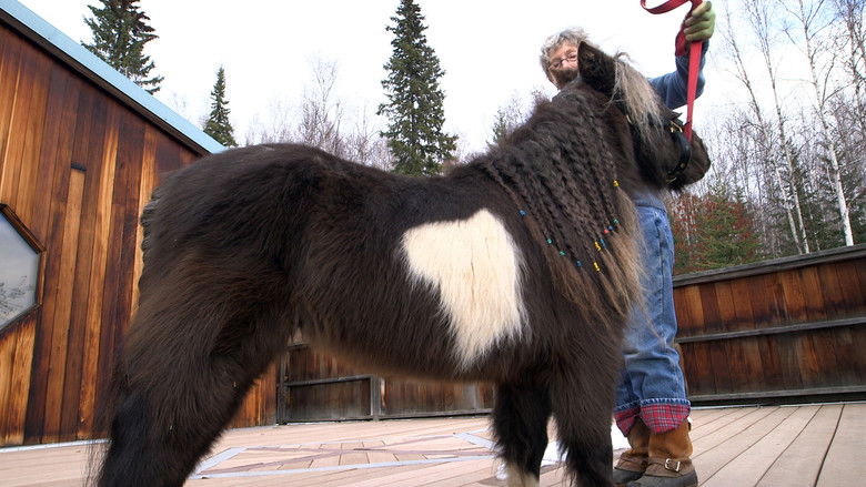 Still image for Dr. Dee: Alaska Vet season 1 episode 5: Springing Into Action Still image for Dr. Dee: Alaska Vet season 1 episode 5: Springing Into Action