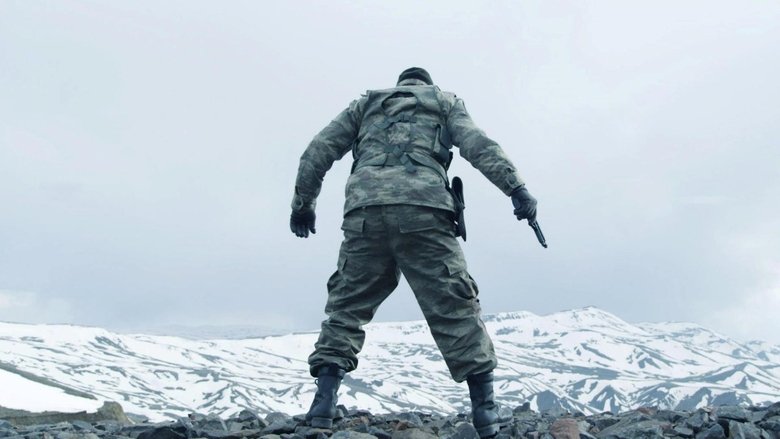 The Mountain Collection