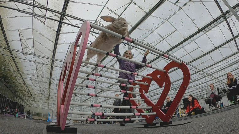 Still image for The Secret Life of Our Pets season 1 episode 3: Athletes